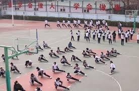 博洛尼亚总监：我们对球队表现满意，但现实地看不认为能争冠