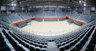 解锁新身份，美女球员艾丽莎-莱曼将成为米兰冬奥会火炬手