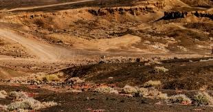 多哈冠军赛国乒女队首轮对阵